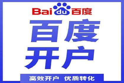百度竞价广告投放策略：案例分析及效果评估
